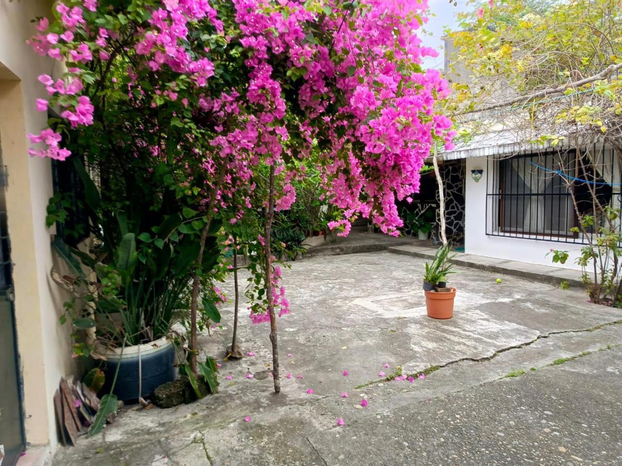 Posada Familiar Papantla Exterior foto